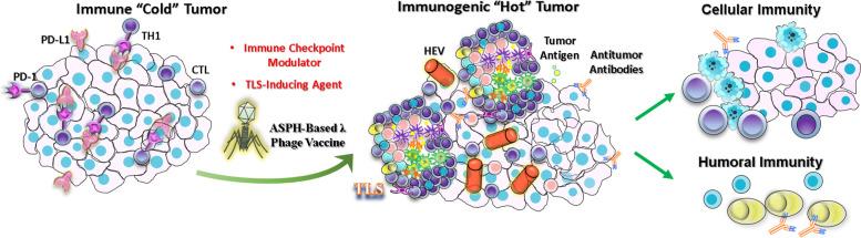 https://cdn.ncbi.nlm.nih.gov/pmc/blobs/c259/8991500/ea1855d56d90/13046_2022_2307_Fig7_HTML.jpg
