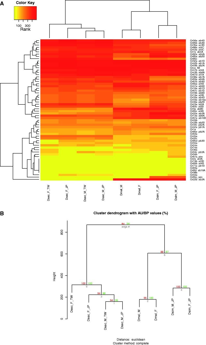 https://cdn.ncbi.nlm.nih.gov/pmc/blobs/c25b/4684695/d48ac3ce54db/evv183f2p.jpg