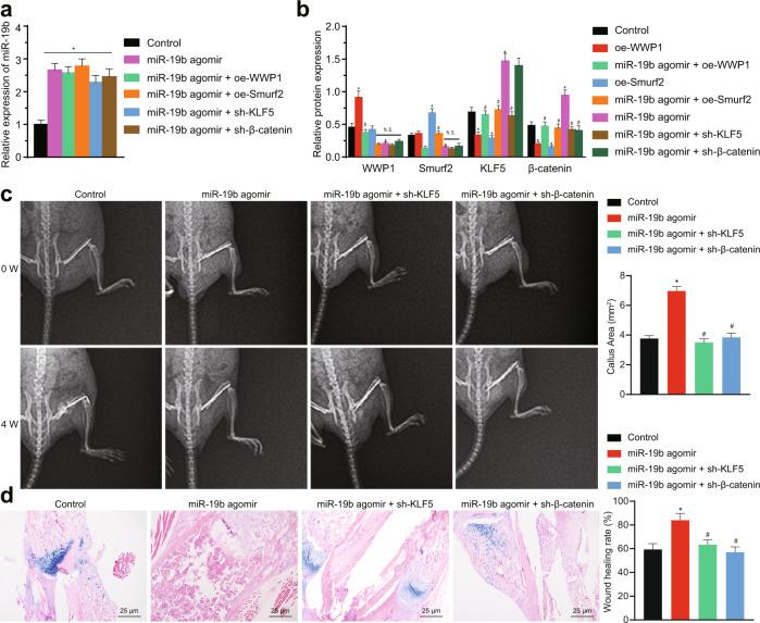 https://cdn.ncbi.nlm.nih.gov/pmc/blobs/c25b/8178348/2d652c1cf249/12276_2021_631_Fig5_HTML.jpg