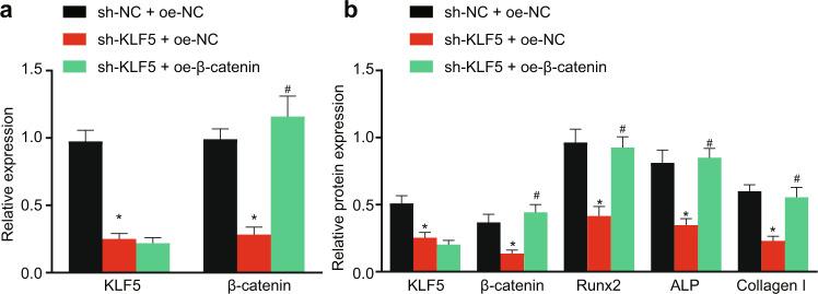 https://cdn.ncbi.nlm.nih.gov/pmc/blobs/c25b/8178348/40f8b0168409/12276_2021_631_Fig3_HTML.jpg