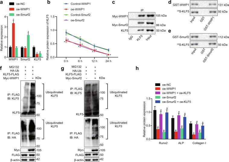 https://cdn.ncbi.nlm.nih.gov/pmc/blobs/c25b/8178348/7b456ba0635d/12276_2021_631_Fig2_HTML.jpg