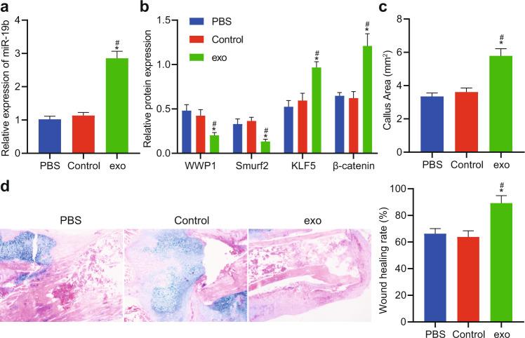 https://cdn.ncbi.nlm.nih.gov/pmc/blobs/c25b/8178348/93df06aaf1a3/12276_2021_631_Fig6_HTML.jpg