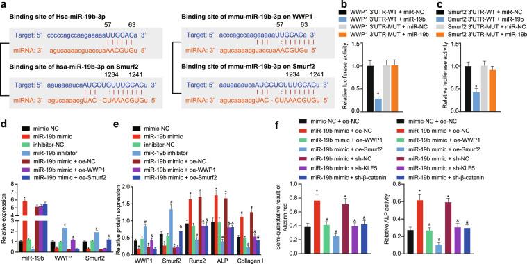 https://cdn.ncbi.nlm.nih.gov/pmc/blobs/c25b/8178348/b6b83c6bba37/12276_2021_631_Fig1_HTML.jpg