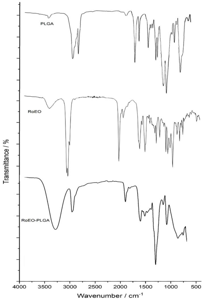 https://cdn.ncbi.nlm.nih.gov/pmc/blobs/c25e/11765333/460280954308/gels-11-00061-g003.jpg