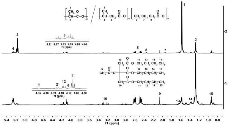 https://cdn.ncbi.nlm.nih.gov/pmc/blobs/c25f/11359726/2e2e8c2f0f91/polymers-16-02331-g008.jpg
