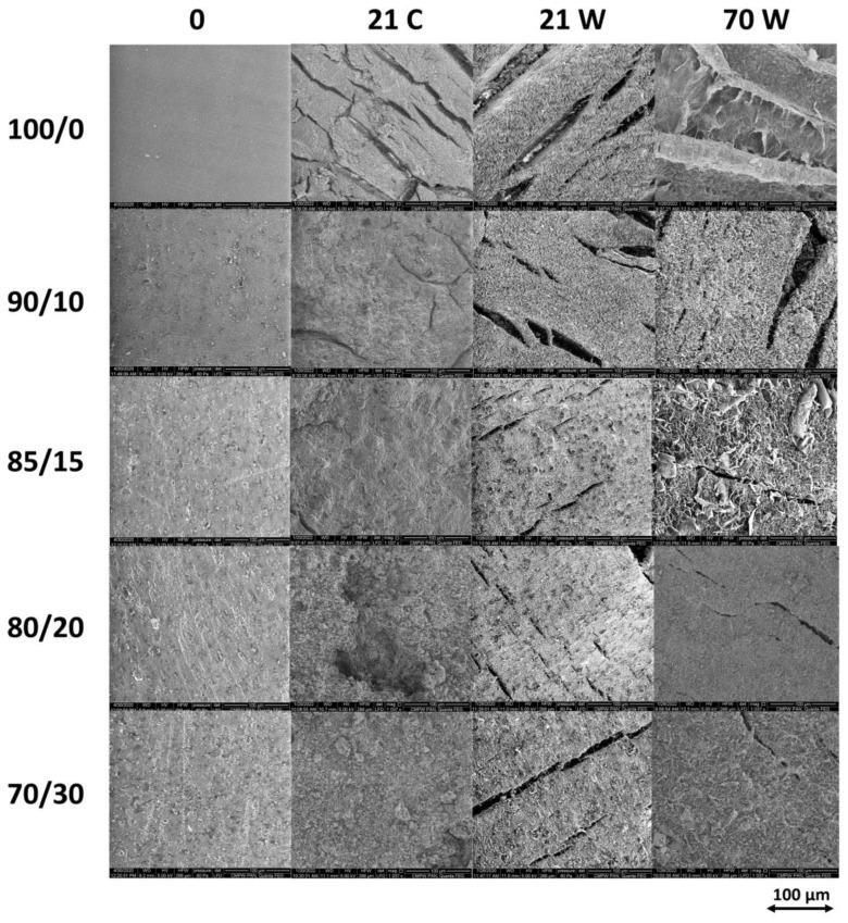 https://cdn.ncbi.nlm.nih.gov/pmc/blobs/c25f/11359726/8616d84d3046/polymers-16-02331-g007.jpg