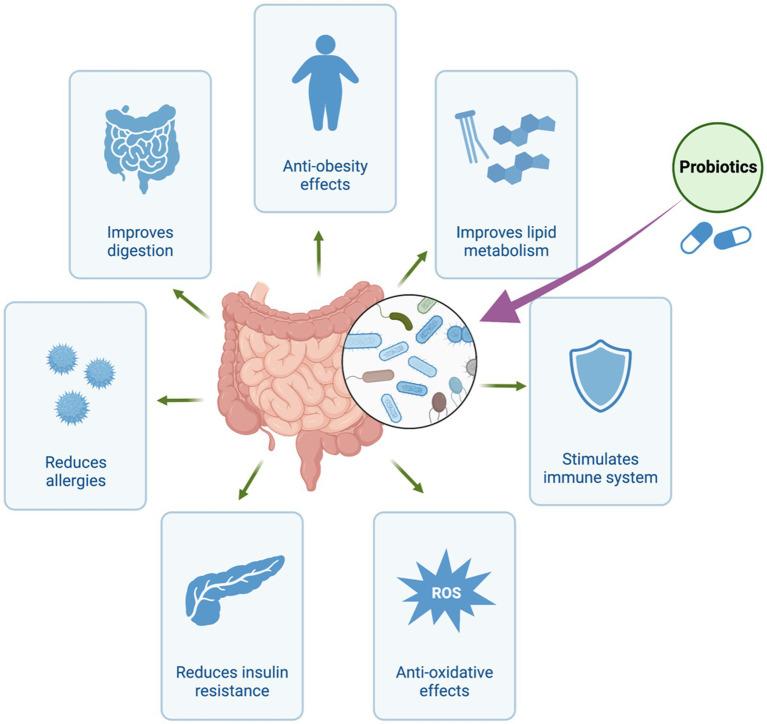 https://cdn.ncbi.nlm.nih.gov/pmc/blobs/c261/10758465/cca7dd353862/fmicb-14-1306192-g001.jpg