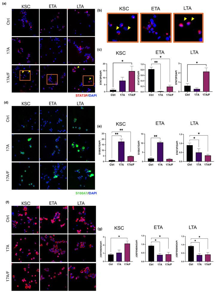https://cdn.ncbi.nlm.nih.gov/pmc/blobs/c261/11988555/e9d21972bf60/ijms-26-02989-g004.jpg