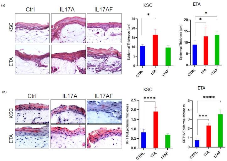 https://cdn.ncbi.nlm.nih.gov/pmc/blobs/c261/11988555/f61b43ab5b69/ijms-26-02989-g005.jpg