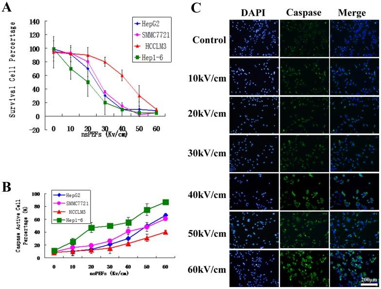 https://cdn.ncbi.nlm.nih.gov/pmc/blobs/c261/3903538/3f5e1bb57924/pone.0086421.g002.jpg