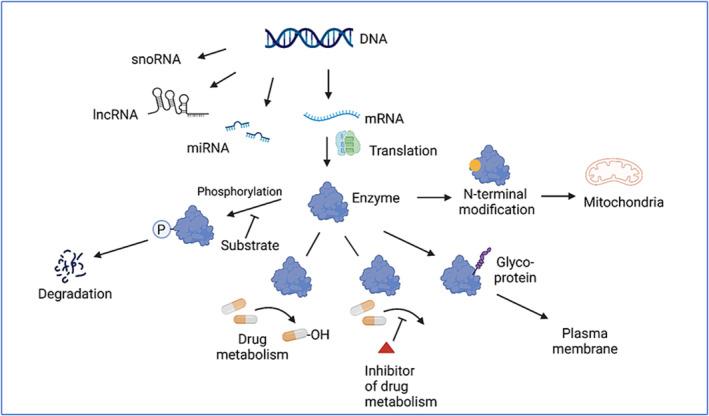 https://cdn.ncbi.nlm.nih.gov/pmc/blobs/c263/12122132/3820338171f3/BCP-91-1569-g001.jpg