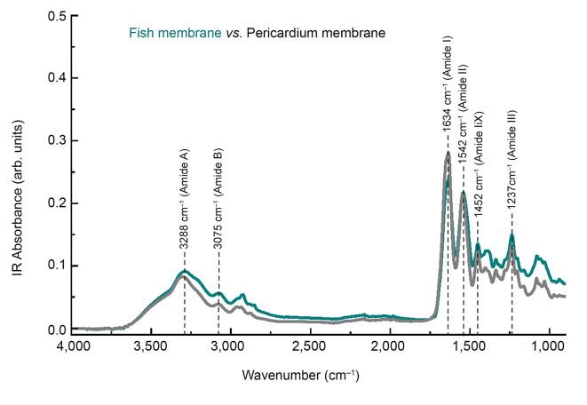 https://cdn.ncbi.nlm.nih.gov/pmc/blobs/c263/12396050/cd5d361ffc14/in_vivo-39-2523-g0001.jpg