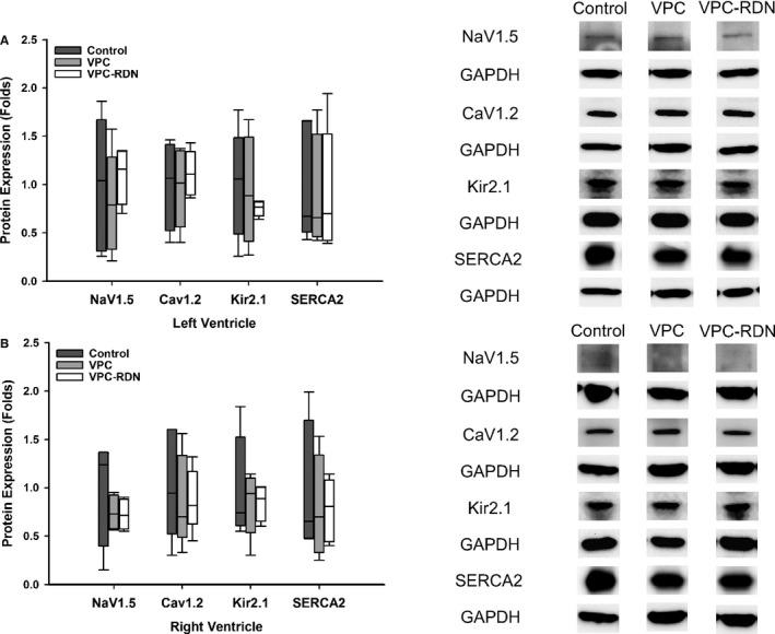https://cdn.ncbi.nlm.nih.gov/pmc/blobs/c265/5523999/0fa4021bc7a9/JAH3-6-e004479-g003.jpg