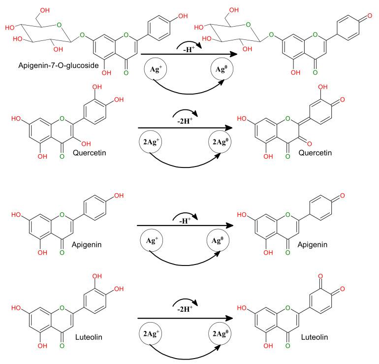 https://cdn.ncbi.nlm.nih.gov/pmc/blobs/c266/7760056/465442a6f3f0/biomolecules-10-01604-g005.jpg