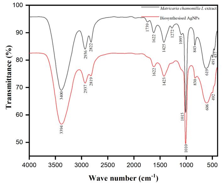 https://cdn.ncbi.nlm.nih.gov/pmc/blobs/c266/7760056/a39c9a57fb1c/biomolecules-10-01604-g007.jpg