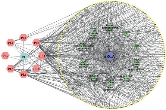 https://cdn.ncbi.nlm.nih.gov/pmc/blobs/c266/9385303/809ffb248da8/ECAM2022-5481563.008.jpg
