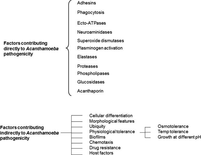 https://cdn.ncbi.nlm.nih.gov/pmc/blobs/c267/4330640/b8ff69db58b0/parasite-22-10-fig6.jpg