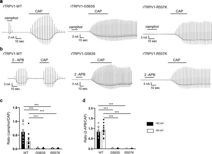 https://cdn.ncbi.nlm.nih.gov/pmc/blobs/c267/7935860/5e0efebc2b7d/42003_2021_1776_Fig4_HTML.jpg