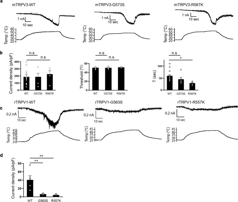 https://cdn.ncbi.nlm.nih.gov/pmc/blobs/c267/7935860/66d91ac517bc/42003_2021_1776_Fig6_HTML.jpg
