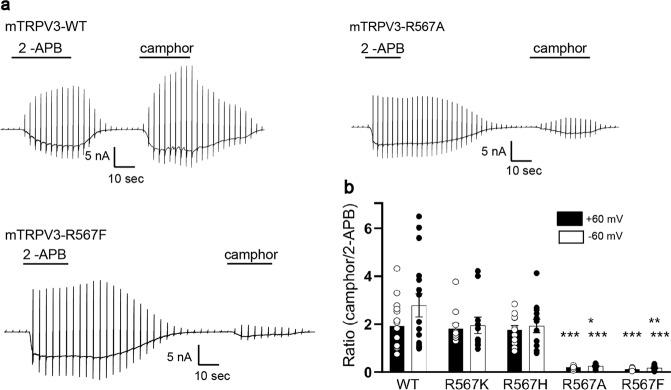 https://cdn.ncbi.nlm.nih.gov/pmc/blobs/c267/7935860/6eb00e47b6e8/42003_2021_1776_Fig5_HTML.jpg