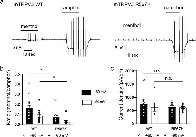 https://cdn.ncbi.nlm.nih.gov/pmc/blobs/c267/7935860/b5a2e3006eee/42003_2021_1776_Fig2_HTML.jpg