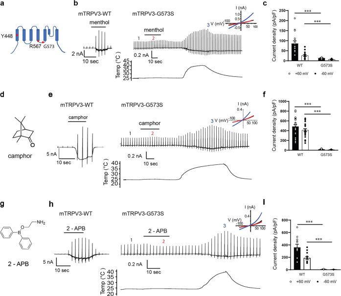 https://cdn.ncbi.nlm.nih.gov/pmc/blobs/c267/7935860/be43adb65cc1/42003_2021_1776_Fig1_HTML.jpg