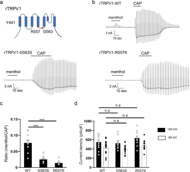 https://cdn.ncbi.nlm.nih.gov/pmc/blobs/c267/7935860/bf1466ade061/42003_2021_1776_Fig3_HTML.jpg