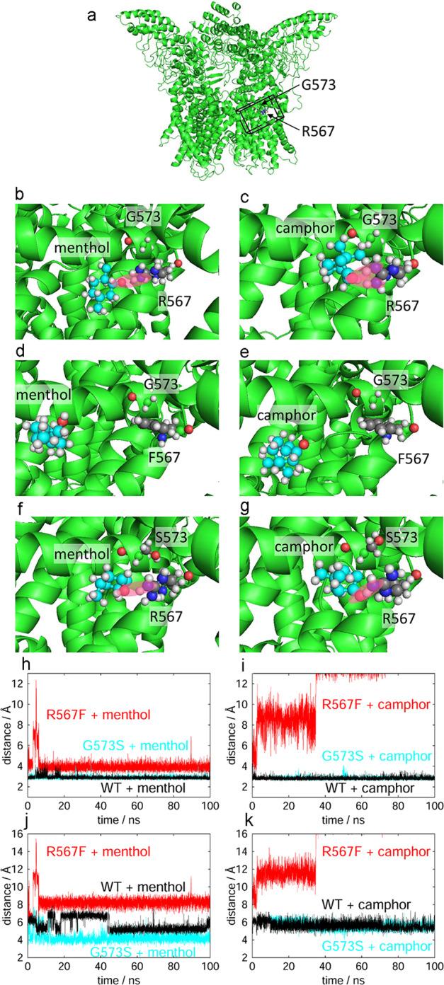 https://cdn.ncbi.nlm.nih.gov/pmc/blobs/c267/7935860/e9add118797c/42003_2021_1776_Fig7_HTML.jpg