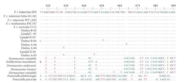 https://cdn.ncbi.nlm.nih.gov/pmc/blobs/c268/2946586/12b23508b455/IJMB2011-851946.003.jpg