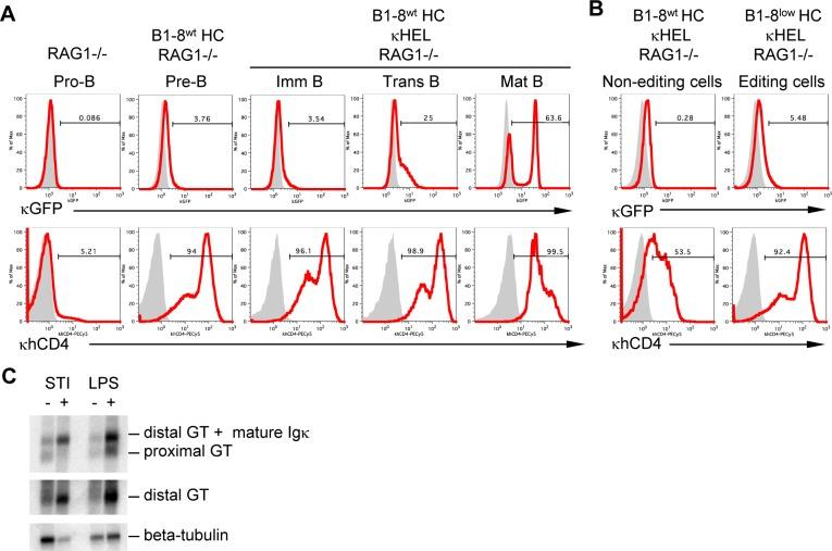 https://cdn.ncbi.nlm.nih.gov/pmc/blobs/c268/4283955/cb45f0310938/pone.0113824.g002.jpg