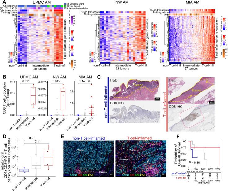 https://cdn.ncbi.nlm.nih.gov/pmc/blobs/c269/10603348/3401efab1073/jitc-2023-007567f01.jpg