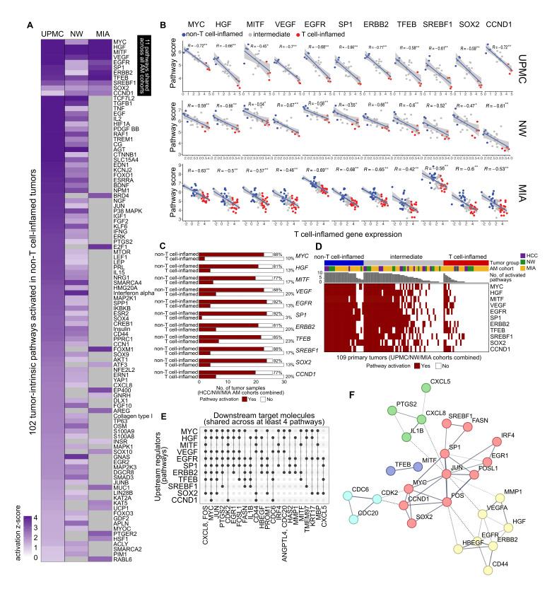 https://cdn.ncbi.nlm.nih.gov/pmc/blobs/c269/10603348/5c35b06f8cb0/jitc-2023-007567f02.jpg