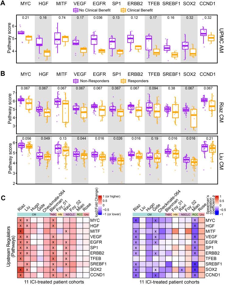 https://cdn.ncbi.nlm.nih.gov/pmc/blobs/c269/10603348/6dde85bf1bf9/jitc-2023-007567f04.jpg