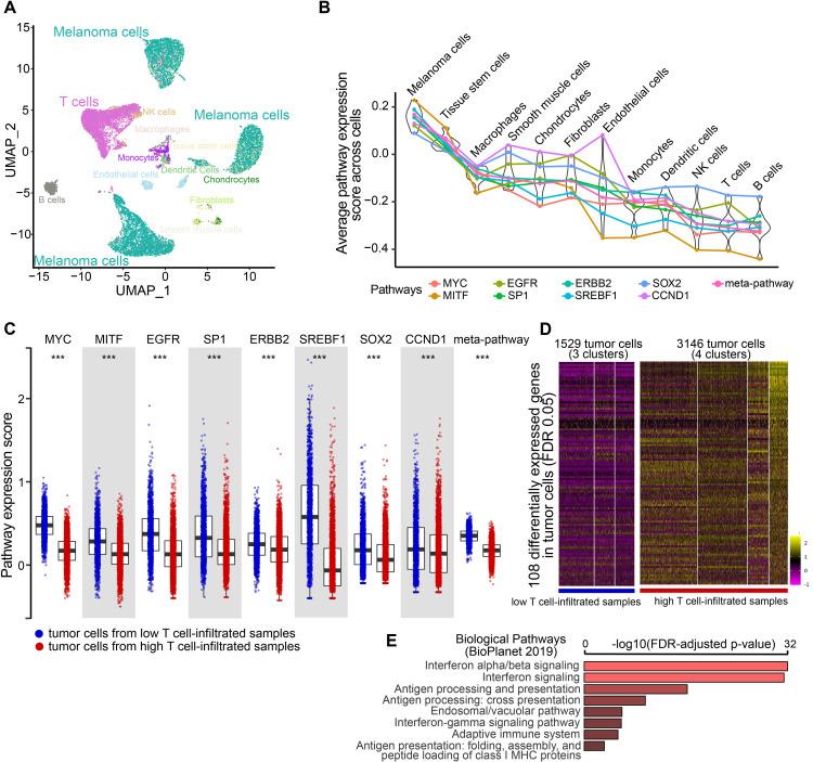 https://cdn.ncbi.nlm.nih.gov/pmc/blobs/c269/10603348/70452d2ae158/jitc-2023-007567f03.jpg