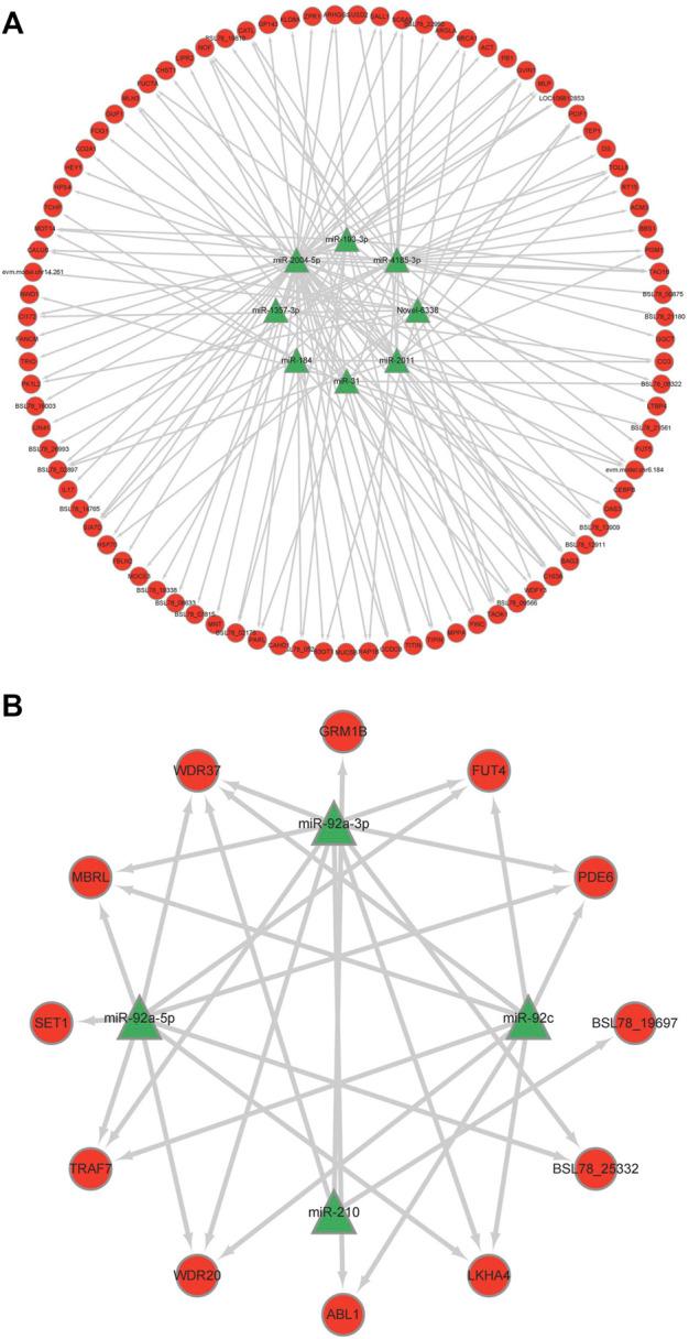 https://cdn.ncbi.nlm.nih.gov/pmc/blobs/c269/9351827/0f6433f9cbab/fphys-13-929094-g004.jpg