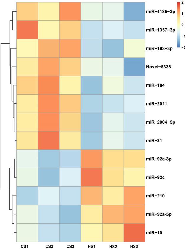 https://cdn.ncbi.nlm.nih.gov/pmc/blobs/c269/9351827/f48c4740fc79/fphys-13-929094-g001.jpg
