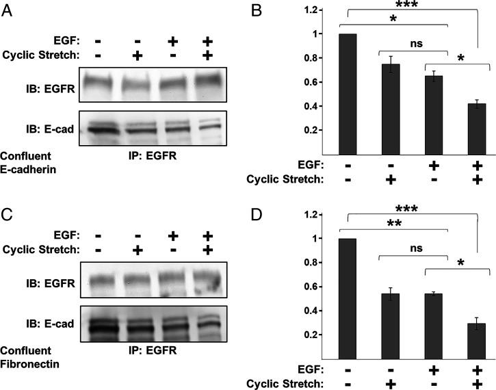 https://cdn.ncbi.nlm.nih.gov/pmc/blobs/c26a/8794882/80a34d883fdb/pnas.2100679119fig03.jpg