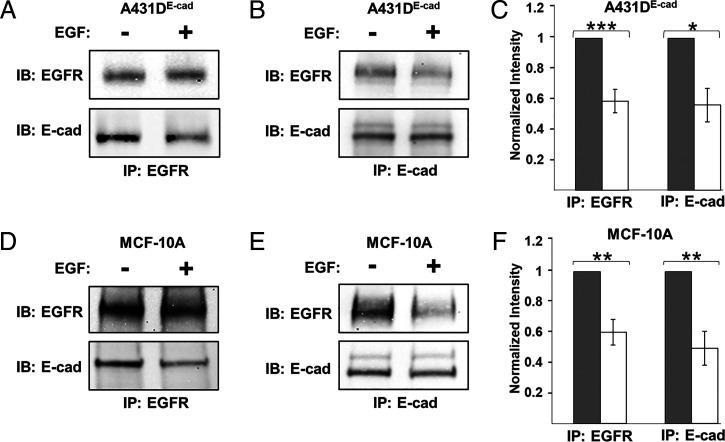 https://cdn.ncbi.nlm.nih.gov/pmc/blobs/c26a/8794882/b2c9ae928341/pnas.2100679119fig01.jpg