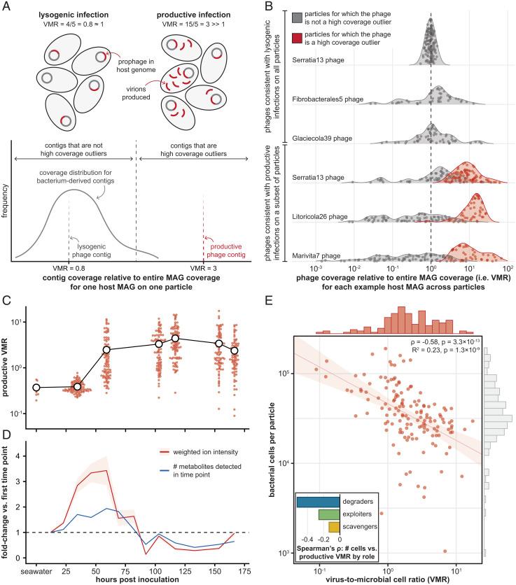 https://cdn.ncbi.nlm.nih.gov/pmc/blobs/c26a/9335236/3467cca92a3d/pnas.2117748119fig04.jpg