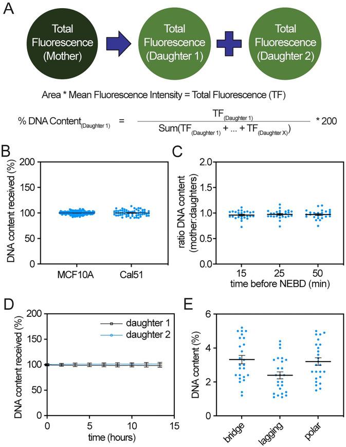 https://cdn.ncbi.nlm.nih.gov/pmc/blobs/c26f/10602348/5dca2eb94927/pbio.3002339.g003.jpg