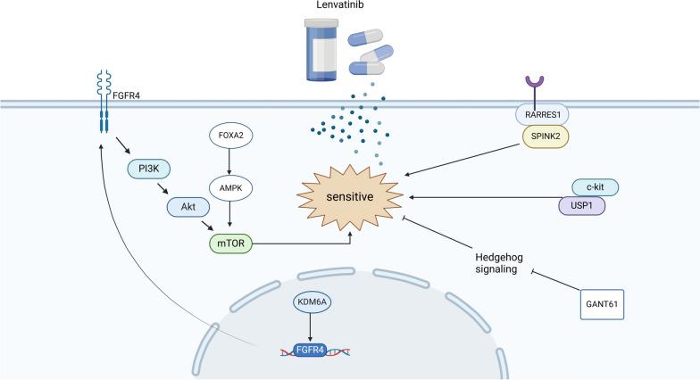 https://cdn.ncbi.nlm.nih.gov/pmc/blobs/c26f/11663365/318a3e8916ff/13045_2024_1647_Fig2_HTML.jpg