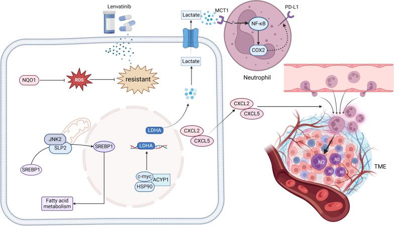 https://cdn.ncbi.nlm.nih.gov/pmc/blobs/c26f/11663365/b316ef21f11f/13045_2024_1647_Fig7_HTML.jpg