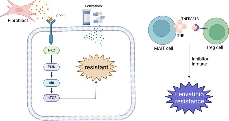 https://cdn.ncbi.nlm.nih.gov/pmc/blobs/c26f/11663365/badac5ac9214/13045_2024_1647_Fig10_HTML.jpg