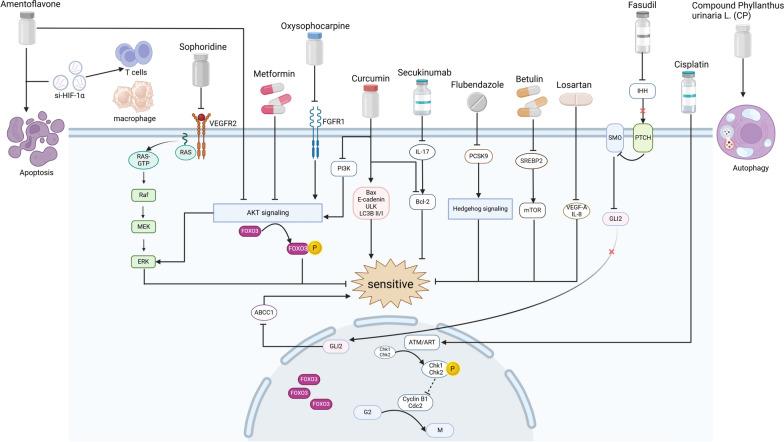 https://cdn.ncbi.nlm.nih.gov/pmc/blobs/c26f/11663365/d1dde7b1ca95/13045_2024_1647_Fig4_HTML.jpg