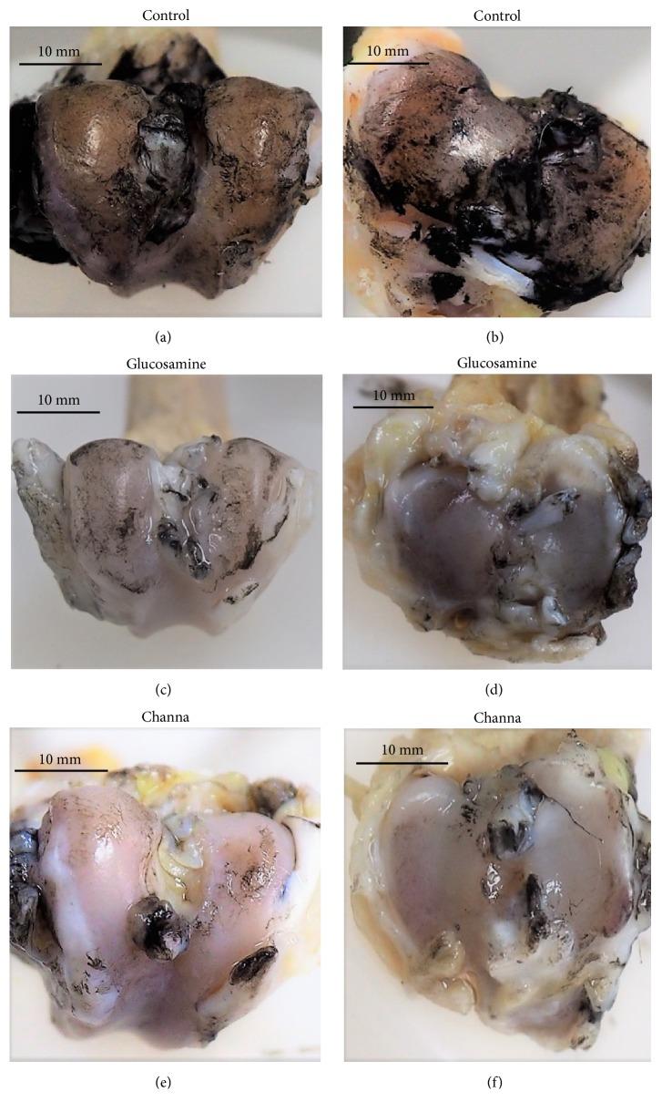 https://cdn.ncbi.nlm.nih.gov/pmc/blobs/c270/6636483/4f44f592ba2a/BMRI2019-6979585.002.jpg