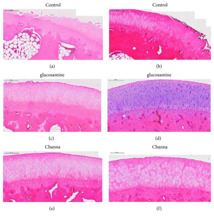 https://cdn.ncbi.nlm.nih.gov/pmc/blobs/c270/6636483/e7e16cec6feb/BMRI2019-6979585.003.jpg