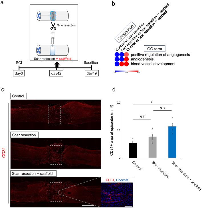 https://cdn.ncbi.nlm.nih.gov/pmc/blobs/c271/11682313/16e9070323f2/41598_2024_82959_Fig4_HTML.jpg