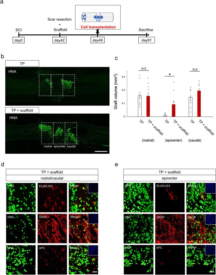 https://cdn.ncbi.nlm.nih.gov/pmc/blobs/c271/11682313/3d3eb10de49e/41598_2024_82959_Fig5_HTML.jpg