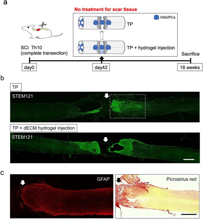 https://cdn.ncbi.nlm.nih.gov/pmc/blobs/c271/11682313/4a28fe08d908/41598_2024_82959_Fig2_HTML.jpg