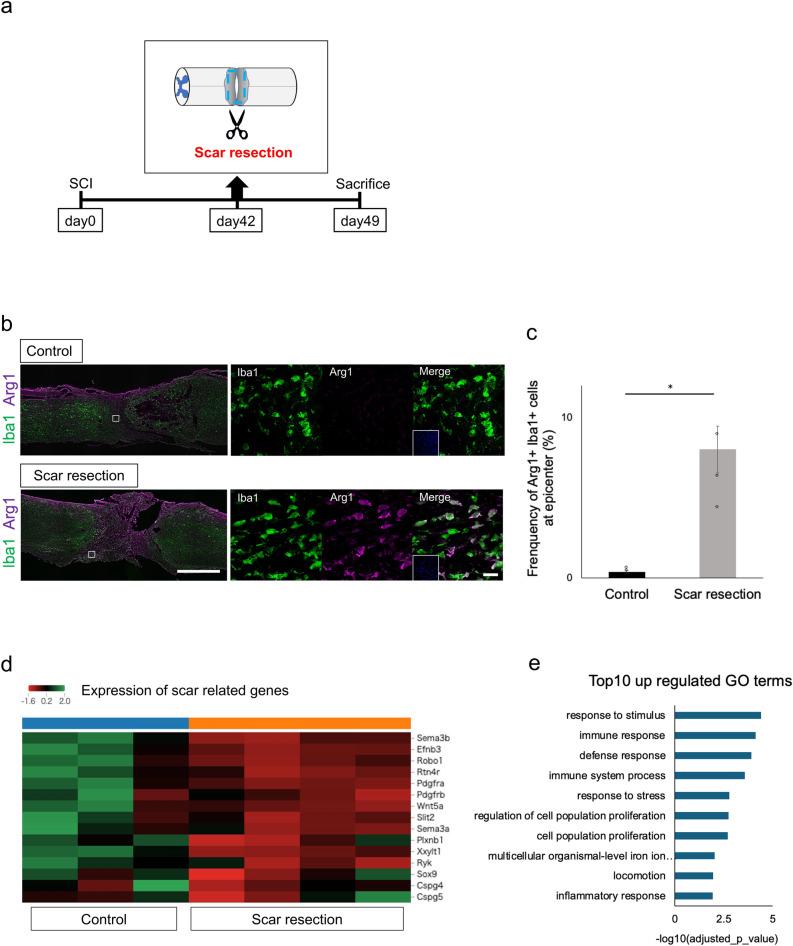 https://cdn.ncbi.nlm.nih.gov/pmc/blobs/c271/11682313/9a133818435b/41598_2024_82959_Fig3_HTML.jpg
